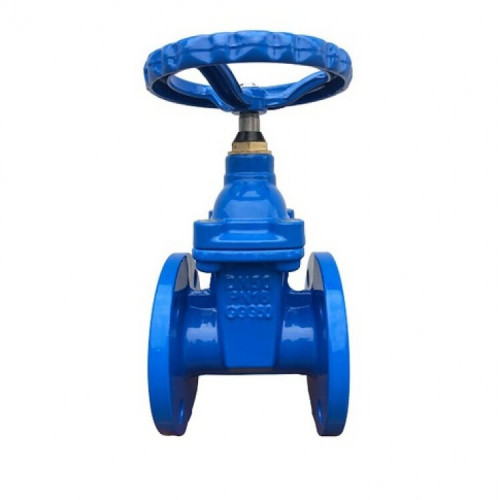 Задвижка чугунная 30ч39р аналог МЗВ Ру16 с обрезиненным клином фланцевая, Benarmo