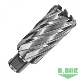 СВЕРЛО ПО МЕТАЛЛУ КОРОНЧАТОЕ С ХВ. WELDON 19 ММ (3/4''), HSS 18*55/88 (АРТ. CD-HSS-055-018-W) "D.BOR